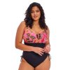 Swim Elomi Swim Wirefree Swimsuits | Cabana Nights Wirefree Swimsuit