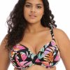 Swim Elomi Swim Plunge Bikinis | Tropical Falls Plunge Bikini Top