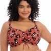 Swim Elomi Swim Balcony Bikinis | Kotiya Uw Bikini Top